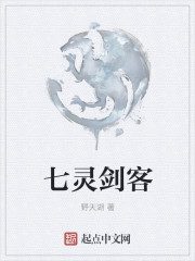 龙腾中文小说网